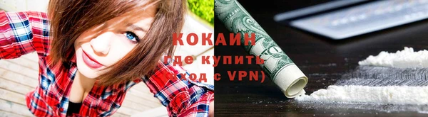 прущие грибы Заводоуковск