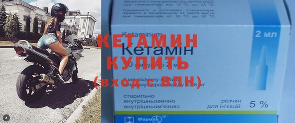 прущие грибы Заводоуковск
