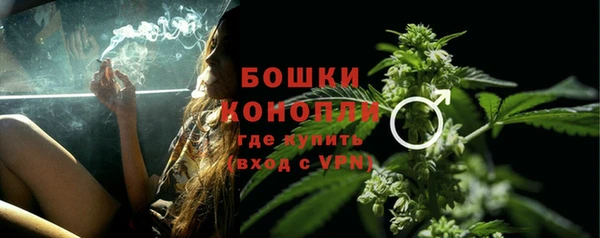 прущие грибы Заводоуковск
