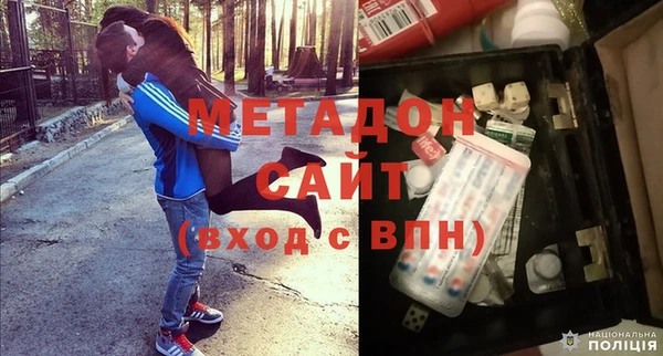 прущие грибы Заводоуковск