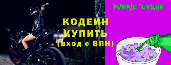 прущие грибы Заводоуковск