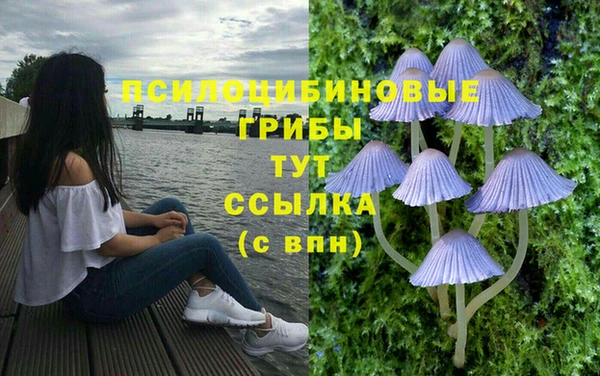 ALPHA-PVP Заволжск