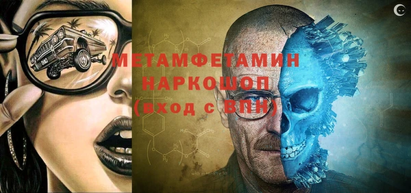 прущие грибы Заводоуковск
