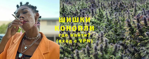 PSILOCYBIN Заволжье