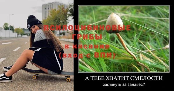PSILOCYBIN Заволжье