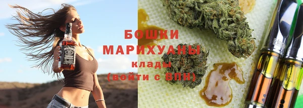 PSILOCYBIN Заволжье