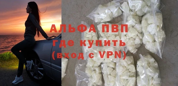 прущие грибы Заводоуковск